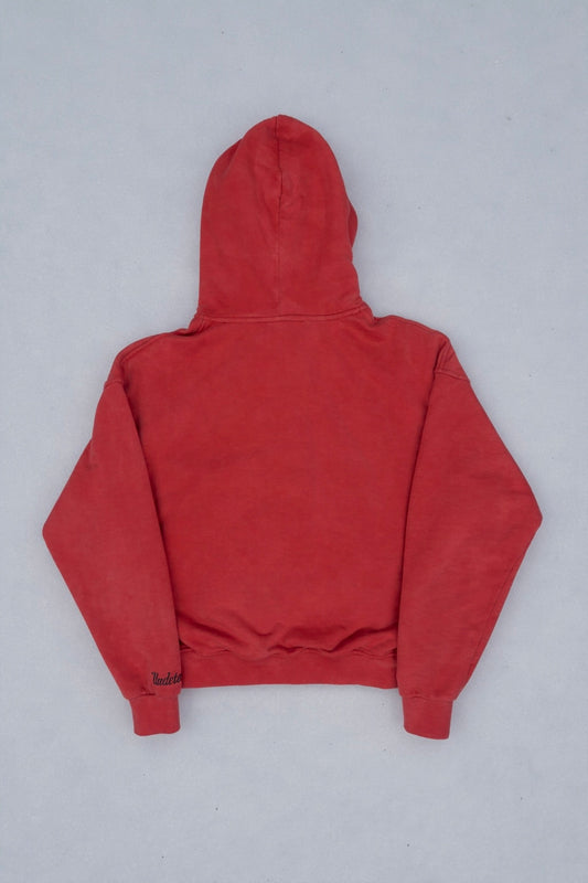“Undetected User” Hoodie